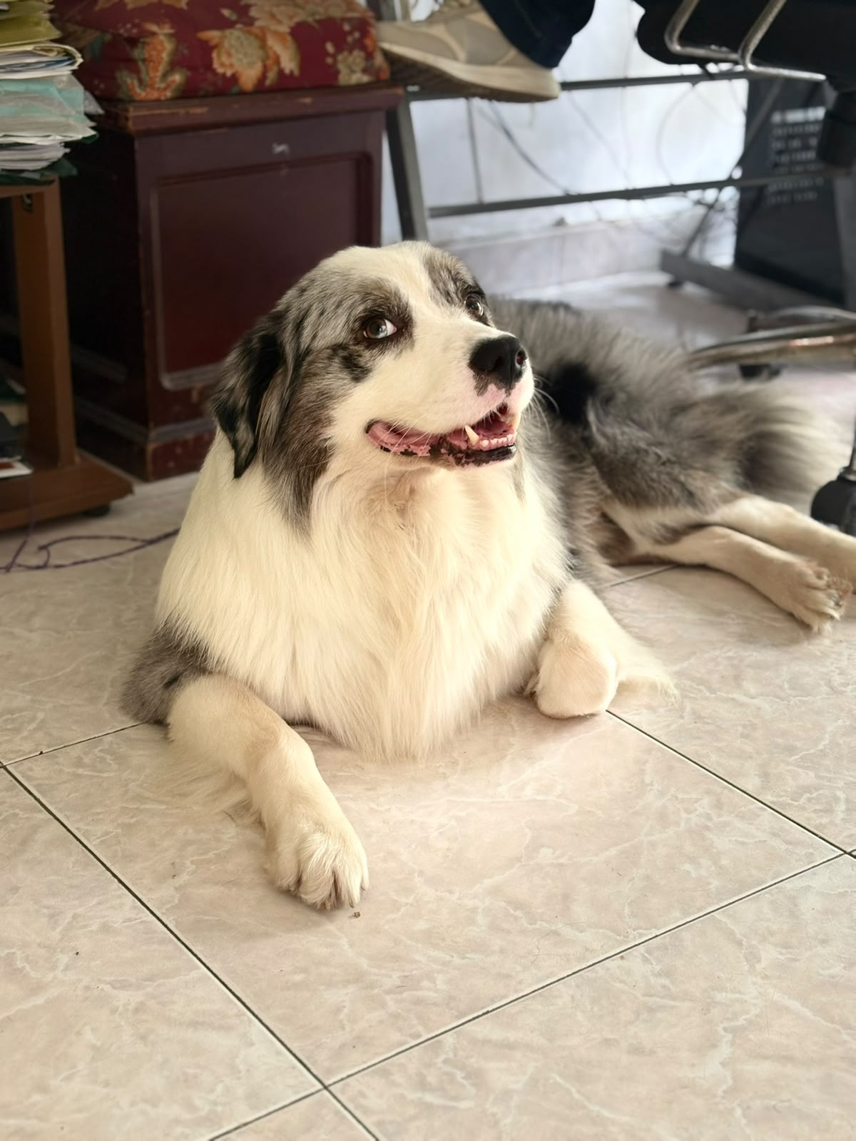 Luka